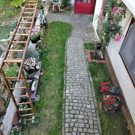 Salaš-dům Pro Společnou Dovolenou Až 14 Osob